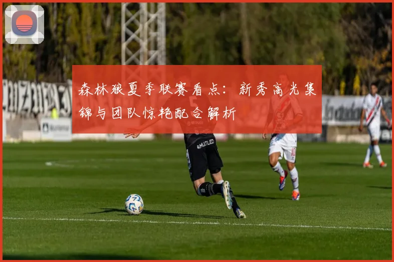 森林狼夏季联赛看点：新秀高光集锦与团队惊艳配合解析