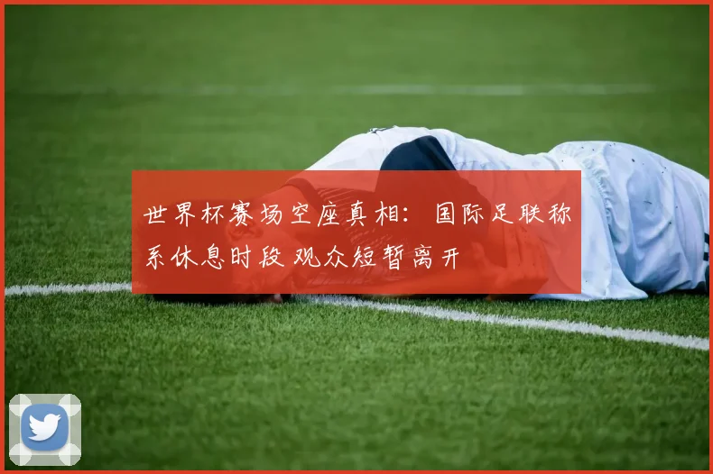 世界杯赛场空座真相：国际足联称系休息时段 观众短暂离开